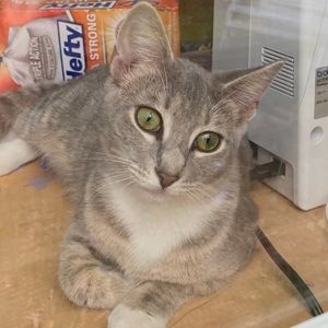 Meet your Posher, Audrey